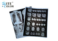 Película de la proyección de imagen de la radiología de la película de hoja de la base X Ray del ANIMAL DOMÉSTICO para las hojas del dr CT 100 por paquete