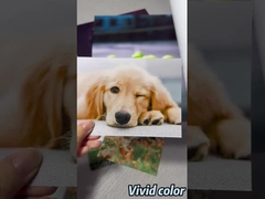 Rollo de papel fotográfico Luster Premium para impresoras de gran formato Epson / Canon / HP