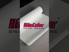 Papel PP brillante autoadhesivo