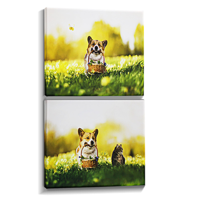 Mejore su decoración con IMATEC S Inkjet Polyester Canvas para Impresiones enmarcadas a medida